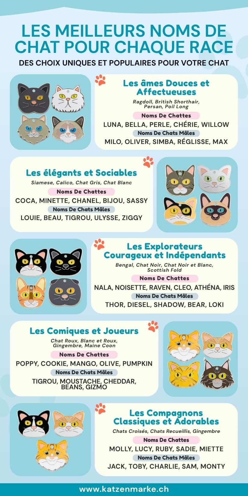 Guide visuel de noms pour chaton par race et personnalité, avec médailles pour chat gravées